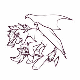 Sketch